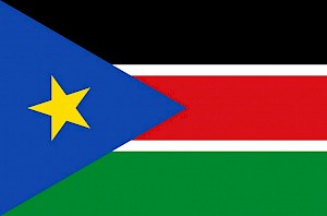 flag of Sud-Soudan